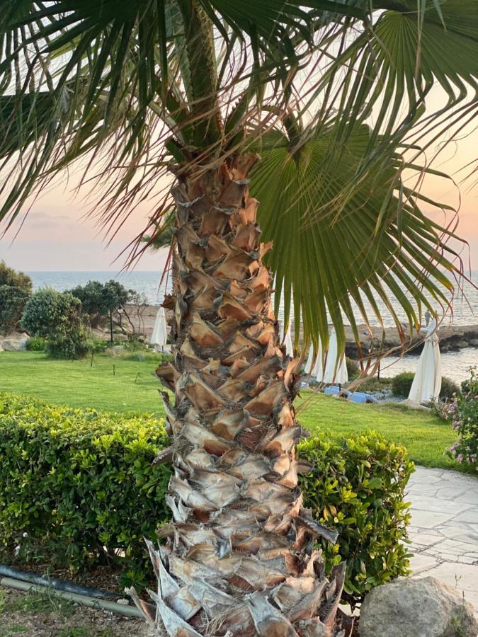 Royal Seacrest F G5 Ground Floor Apartment Paphos Bagian luar foto