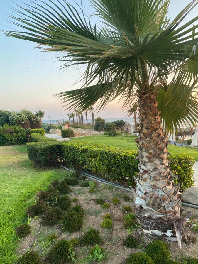 Royal Seacrest F G5 Ground Floor Apartment Paphos Bagian luar foto