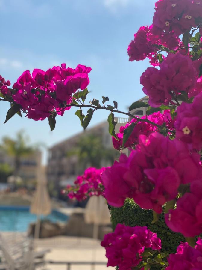 Royal Seacrest F G5 Ground Floor Apartment Paphos Bagian luar foto